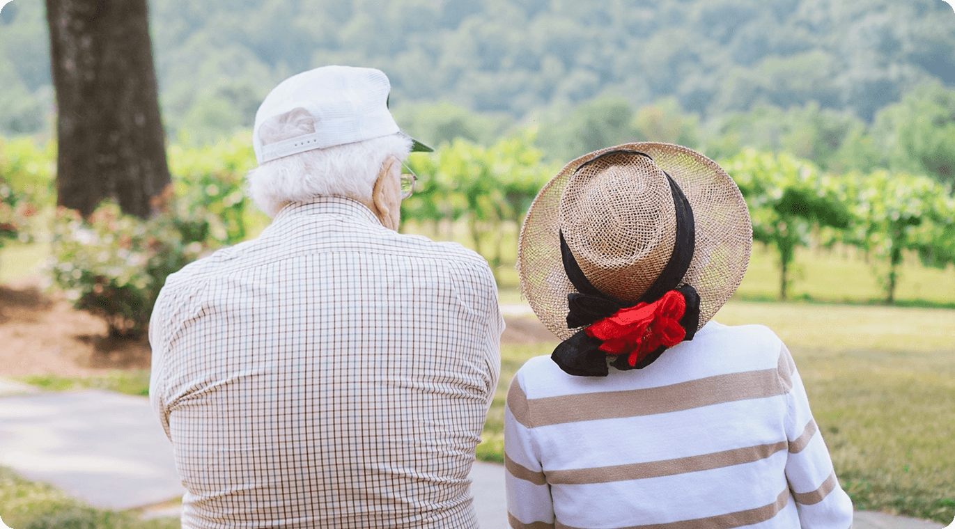 An elderly couple seen from behind sits together in a sunlit vineyard, wearing casual clothing and hats, creating a peaceful and nostalgic atmosphere with soft, natural colors.